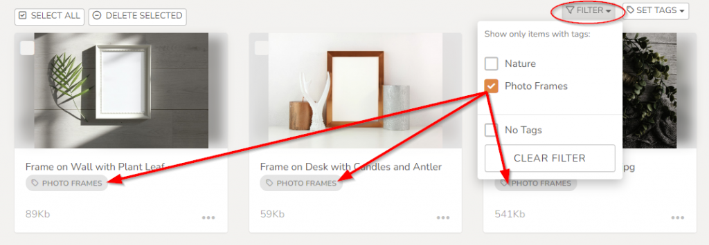 Screenshot of "Filter" tags in Media Library photo management page